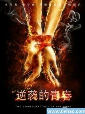 城南旧事簿 剧集封面